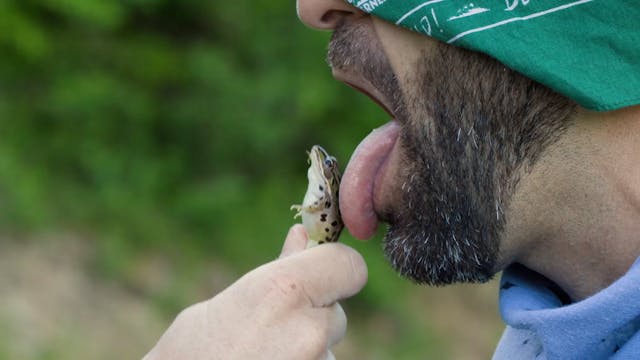 Poisonous Frog Taste Test