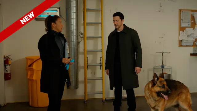 804 - Of All the Gin Joints