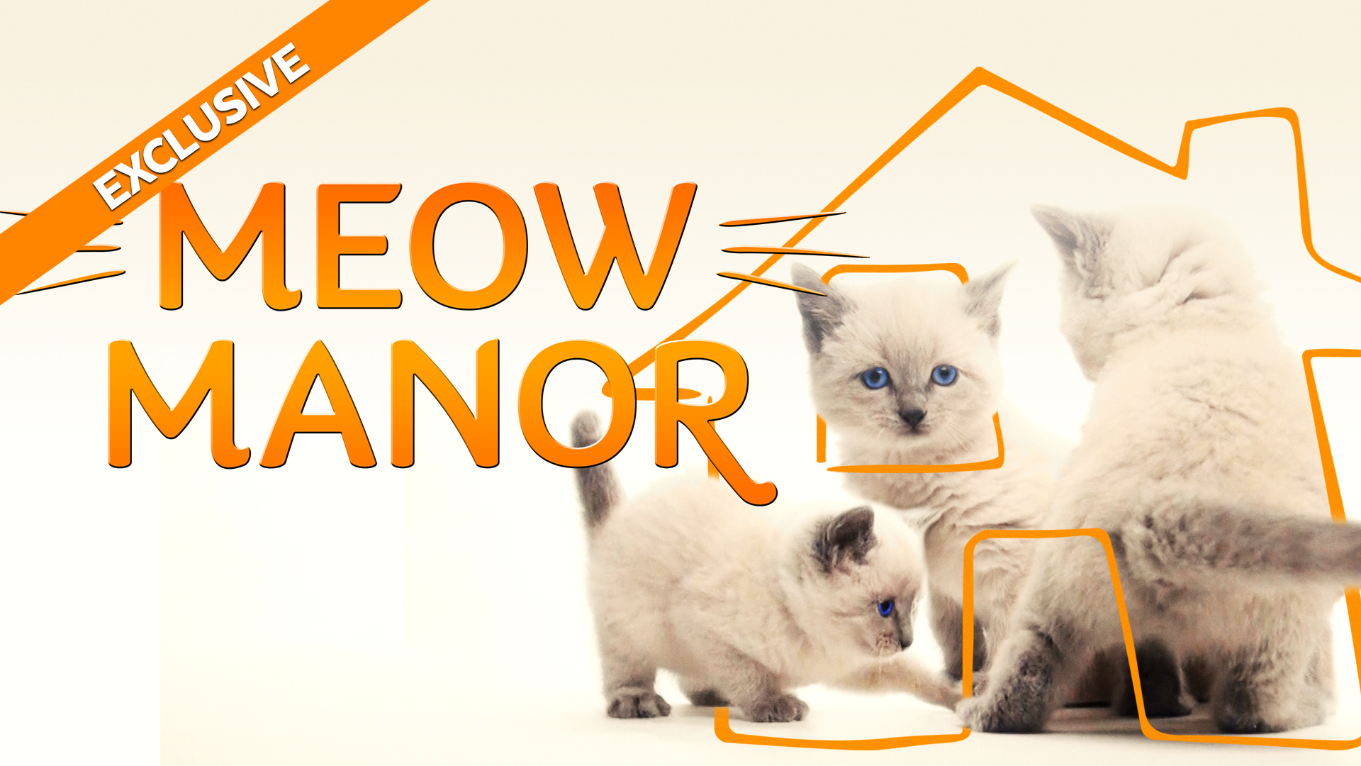 Meow Manor