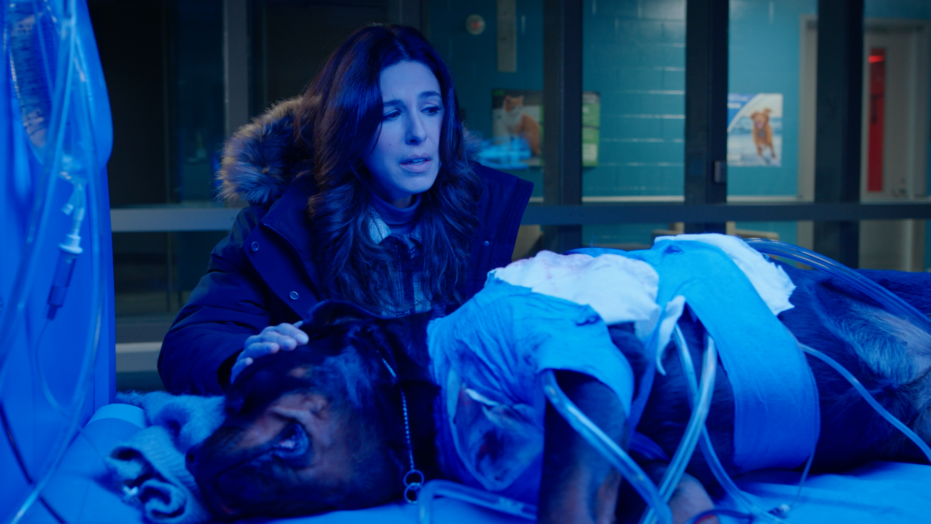 Season 4 Finale: 416 - Dog Days Are Over