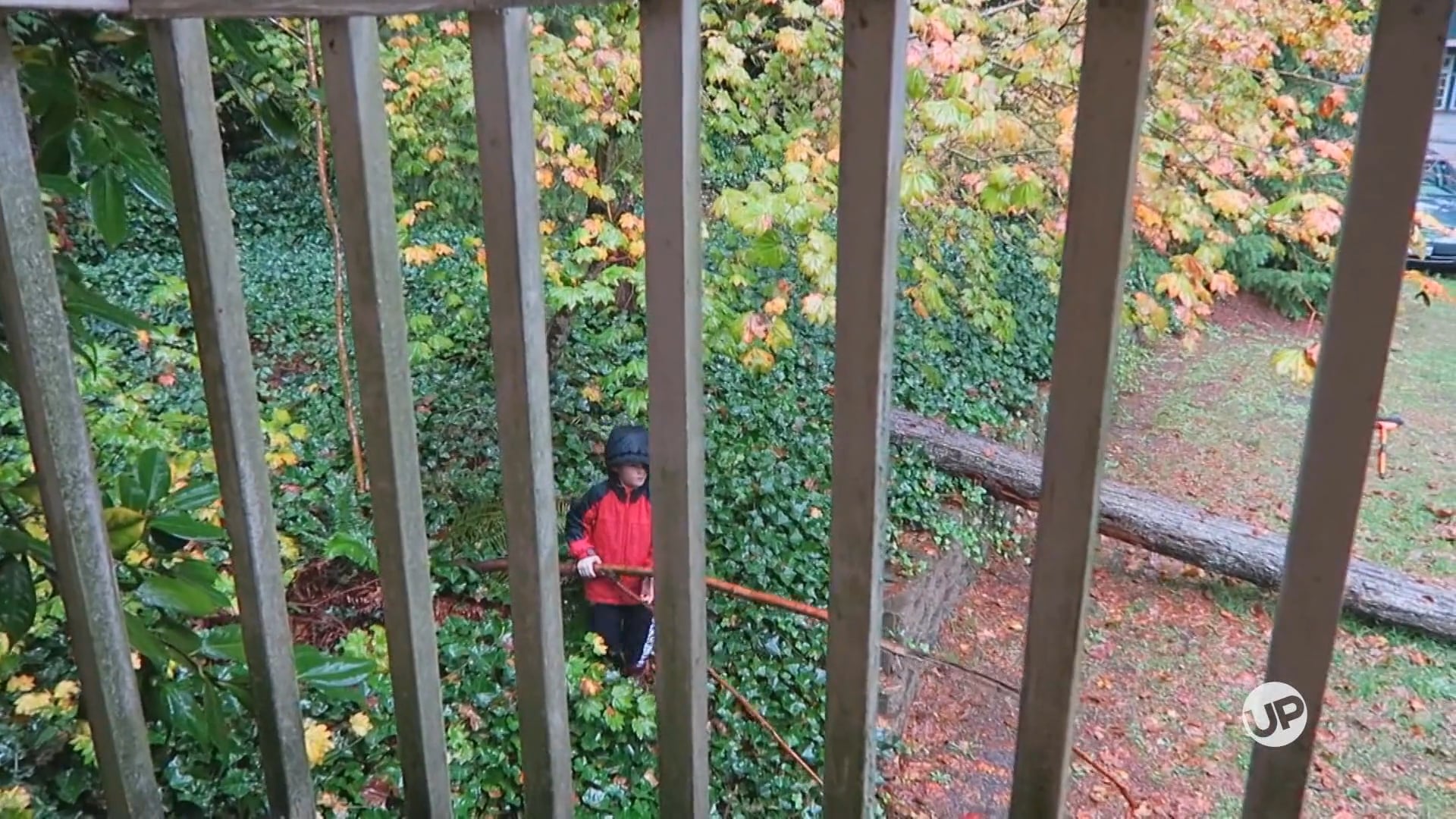 Shirelle & Ray / Mindy & Bill