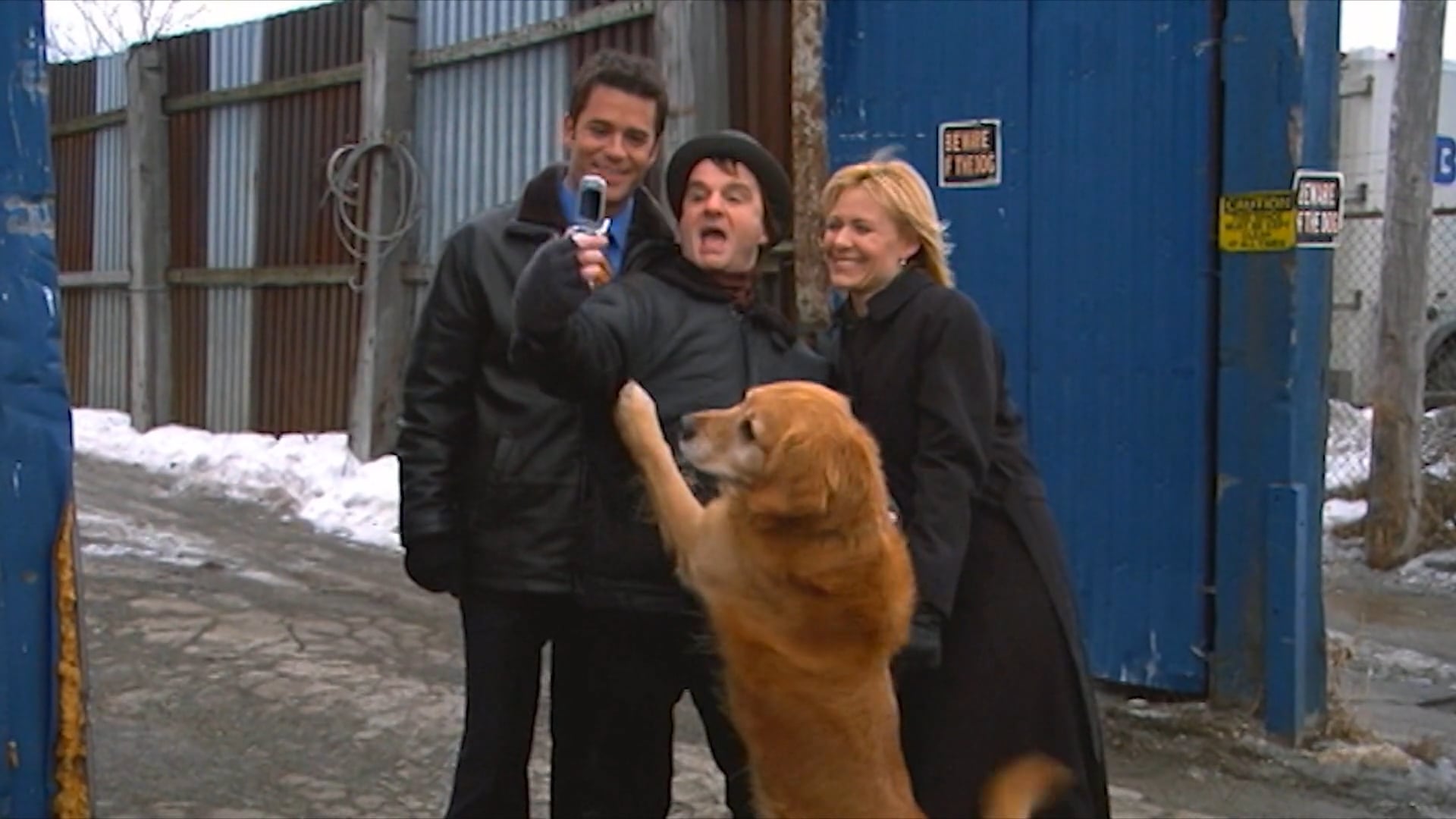 Elvis Is In The Building