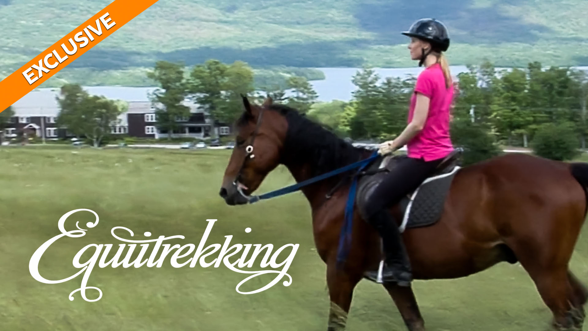 Equitrekking