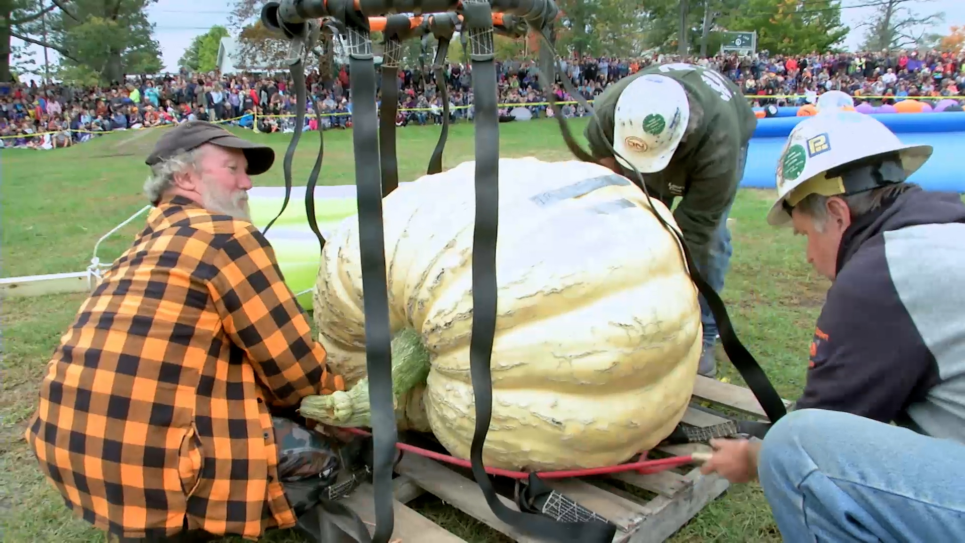 Small Town, Big Deal: 502