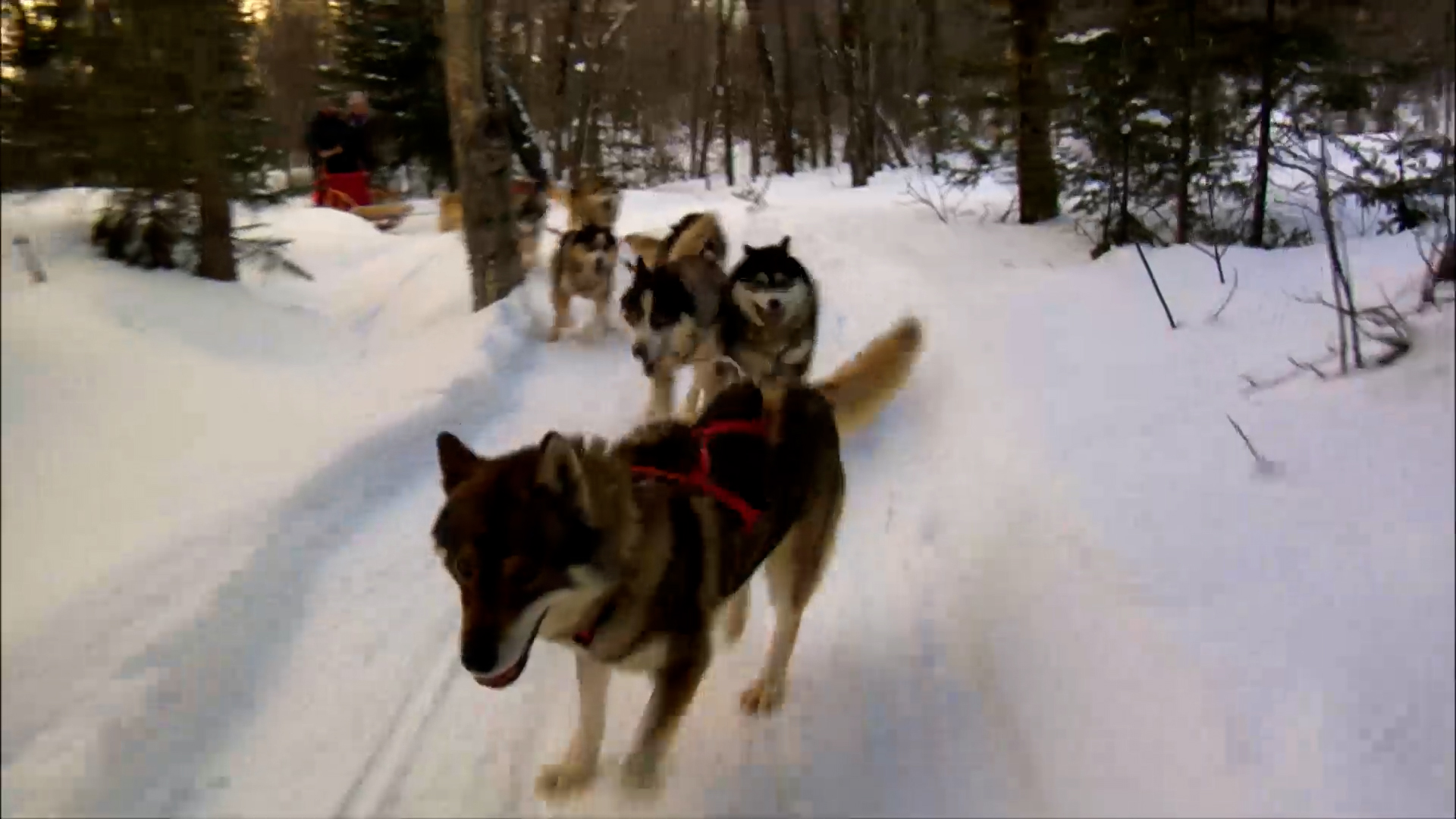 Southern Quebec
