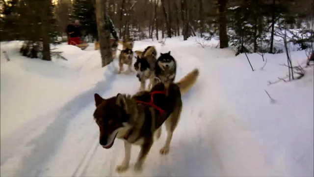 Southern Quebec