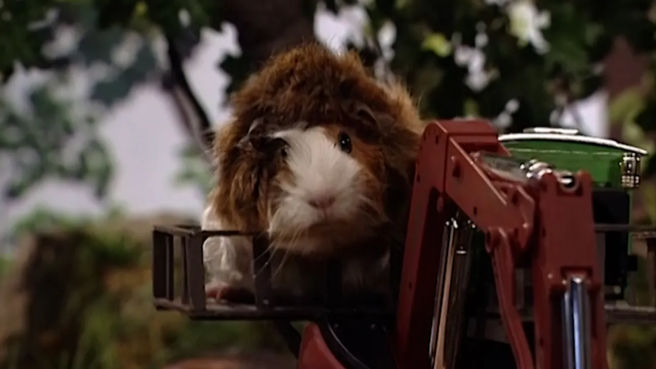 Dig - Once Upon a Hamster - Season 4 - UP Faith and Family