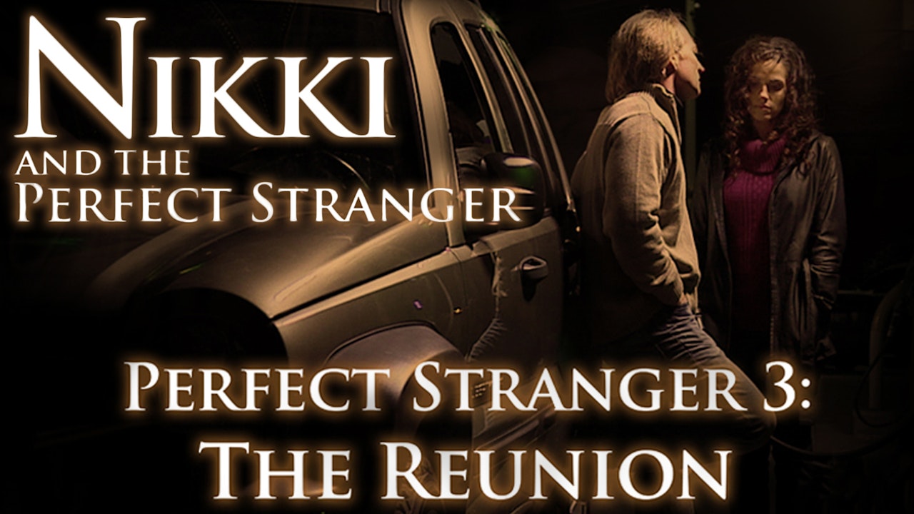 Nikki and the Perfect Stranger: Perfect Stranger 3