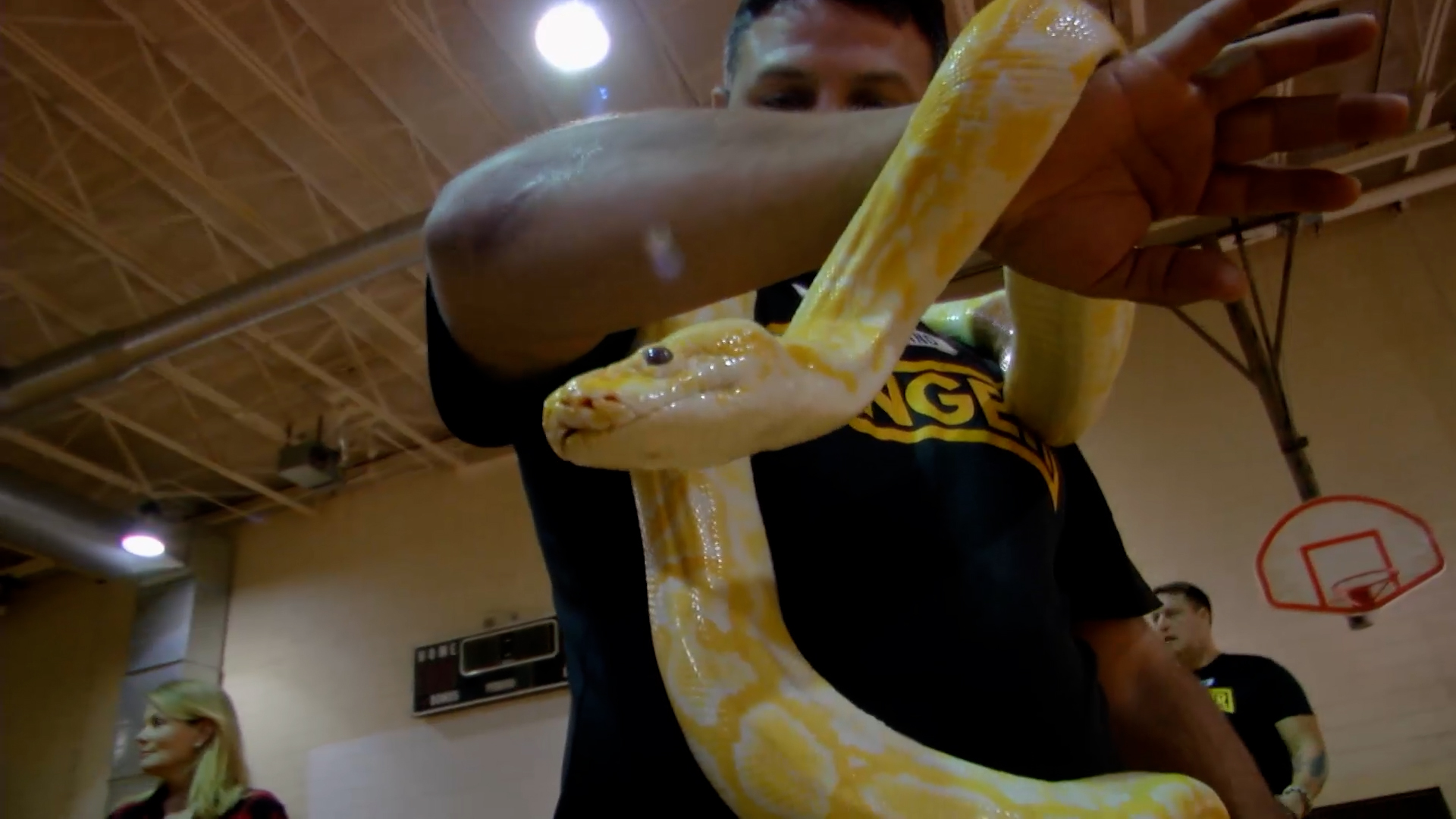 Small Town, Big Deal: 707