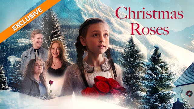 Coming Soon - Christmas Roses (12/12)