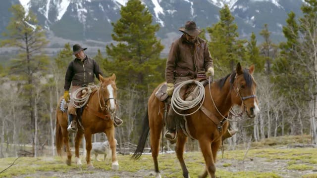 Elvis Has Left the Building