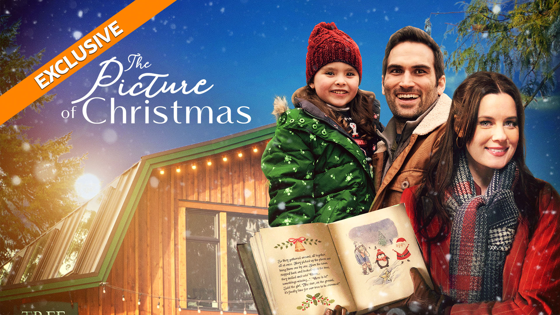 The Picture of Christmas