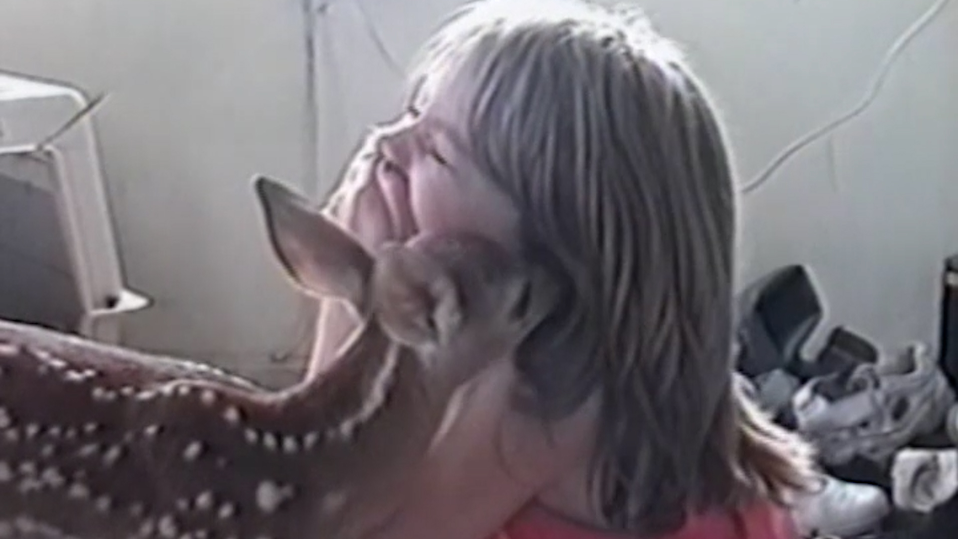 Funniest Pets & People: 188