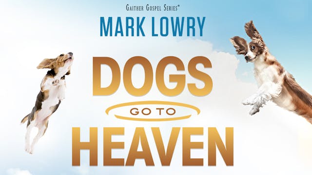 mark lowry dogs go to heaven shirt