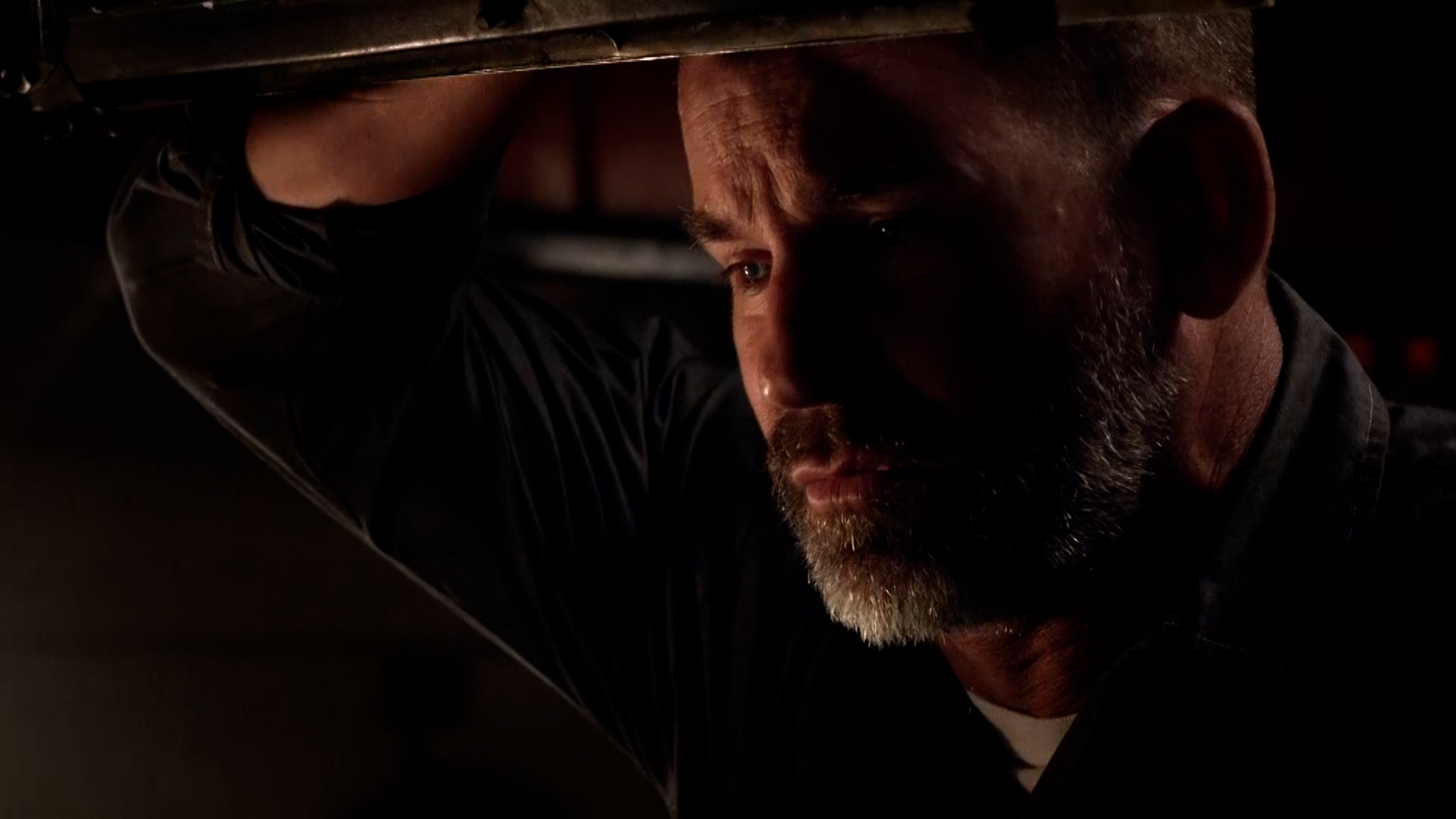 Children of Darkness, Children of Light