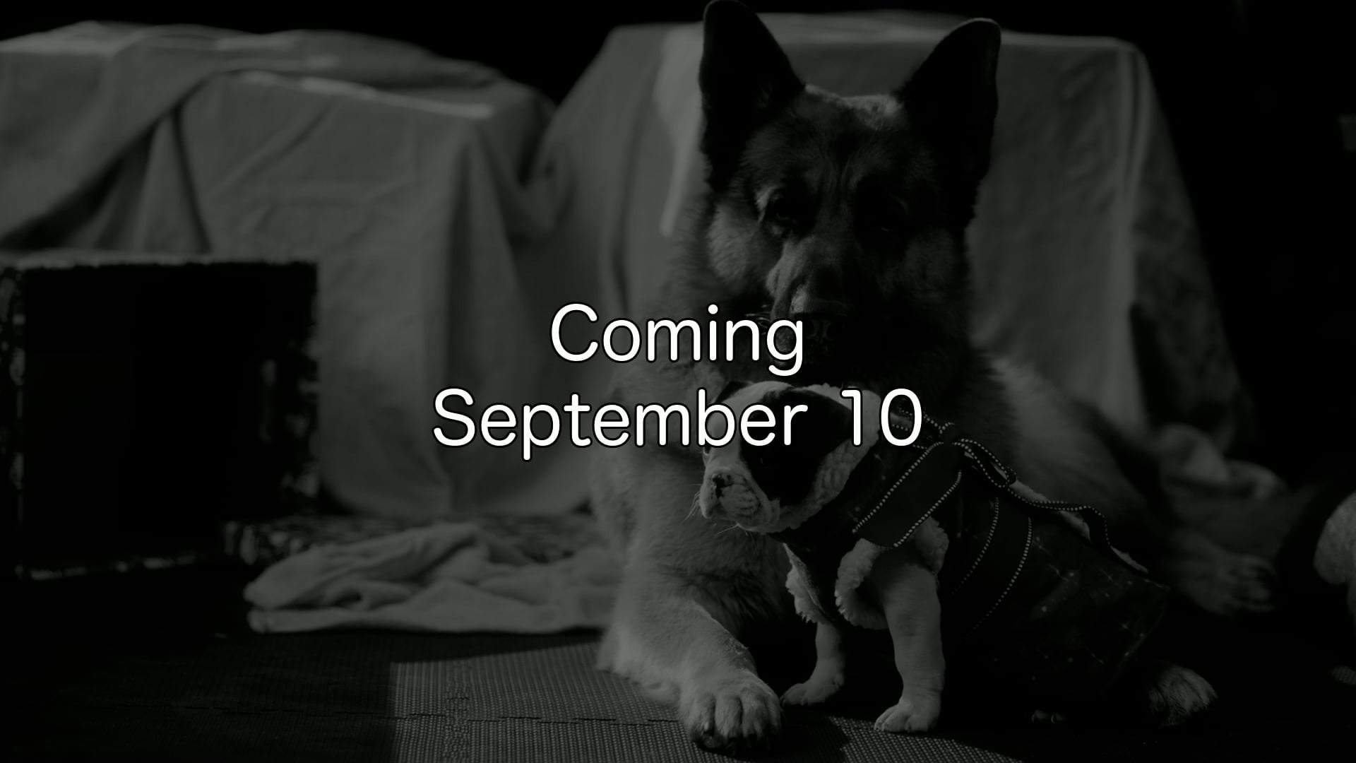 814 - Coming September 10