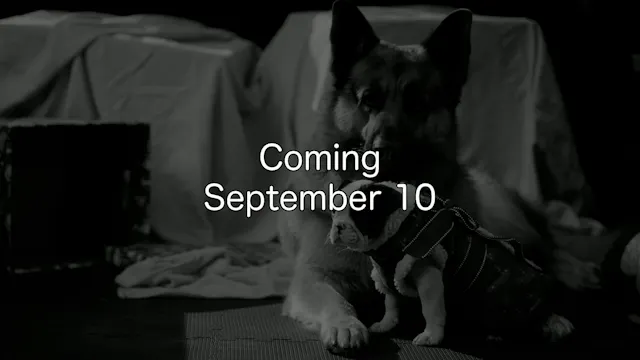 814 - Coming September 10