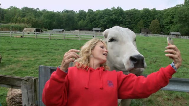 Small Town, Big Deal: 309