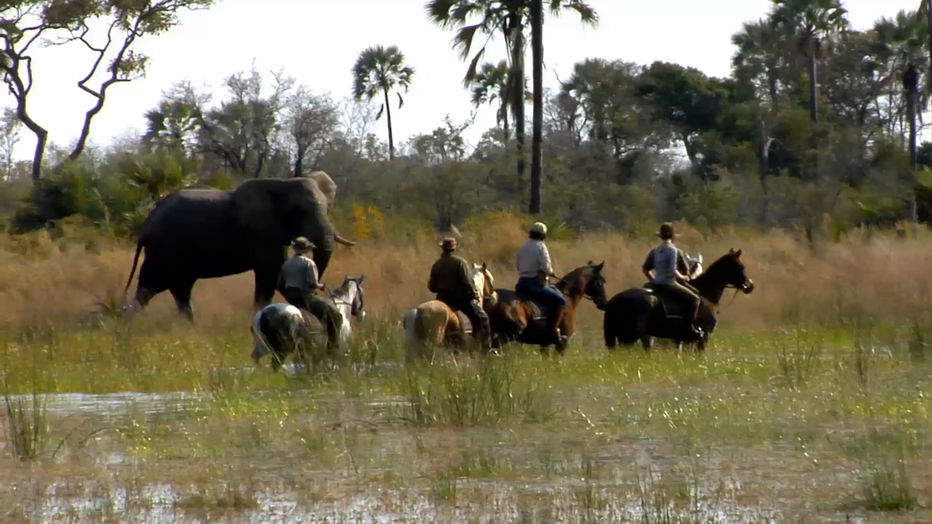 Botswana Part 1