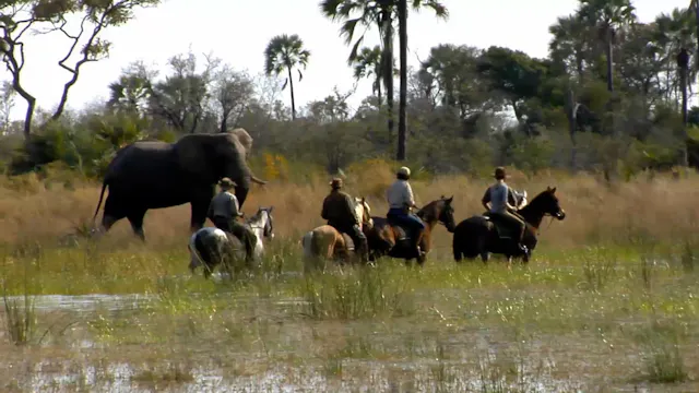 Botswana Part 1