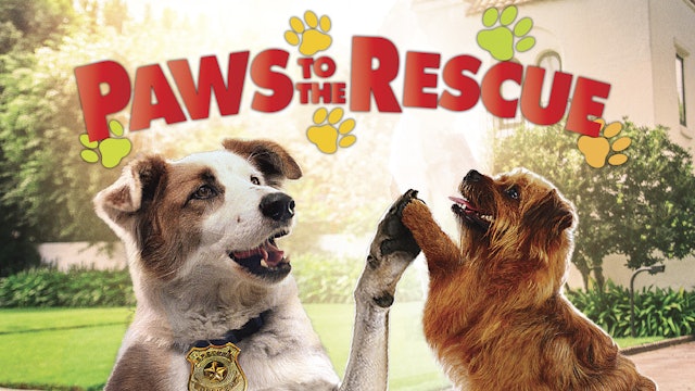 Paws to the Rescue