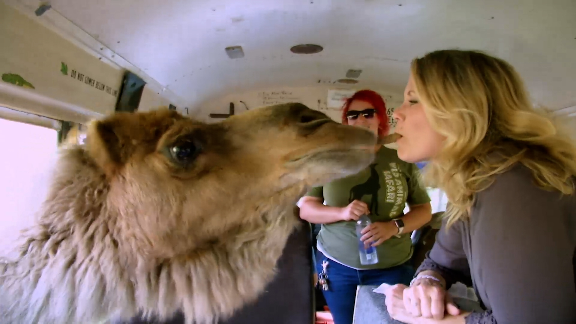 Small Town, Big Deal: 605