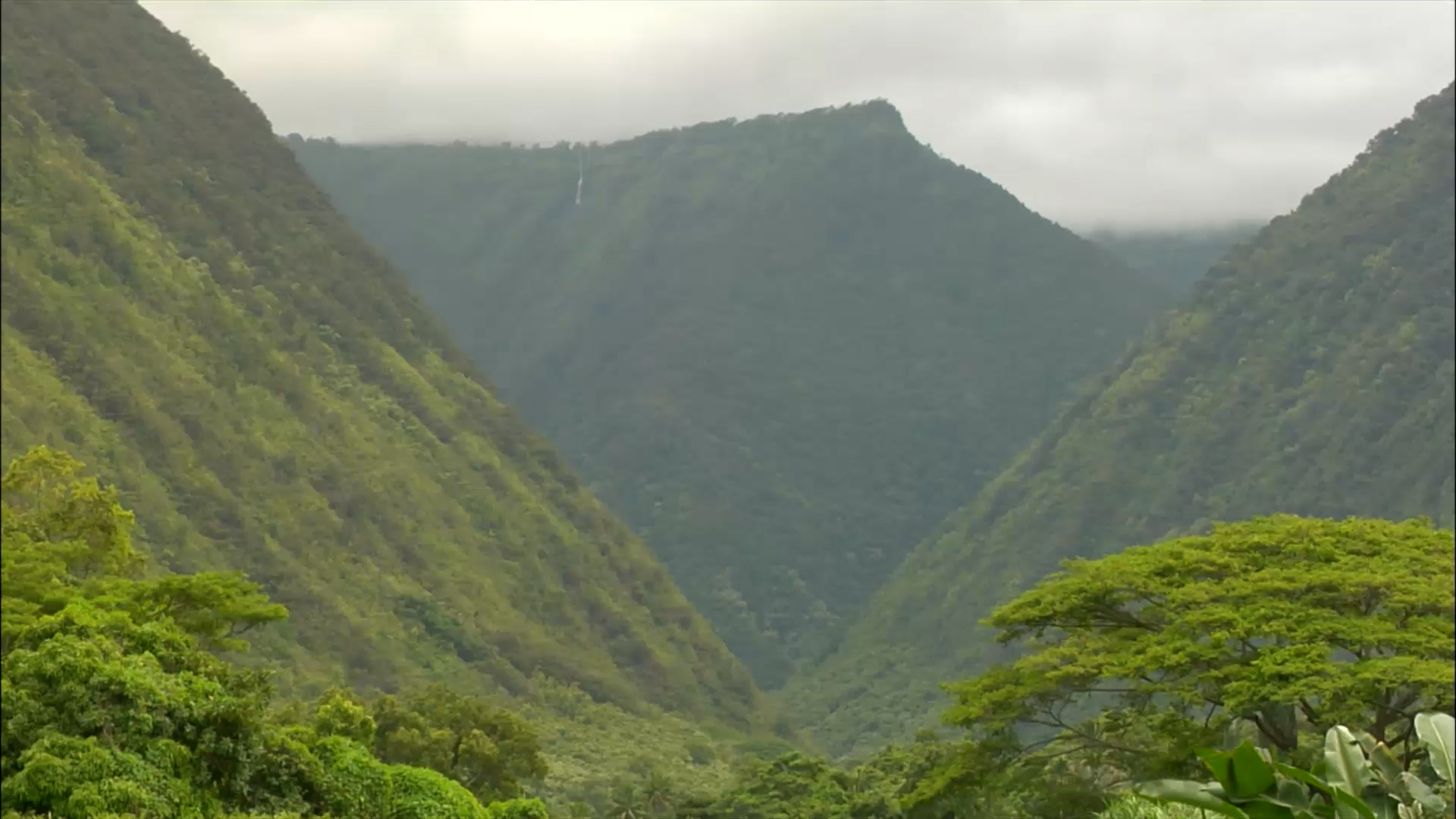 Hawaii's Big Island