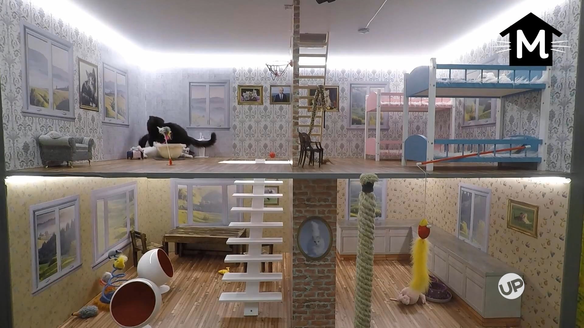 You've Got to Be Kitten Me Right Meow