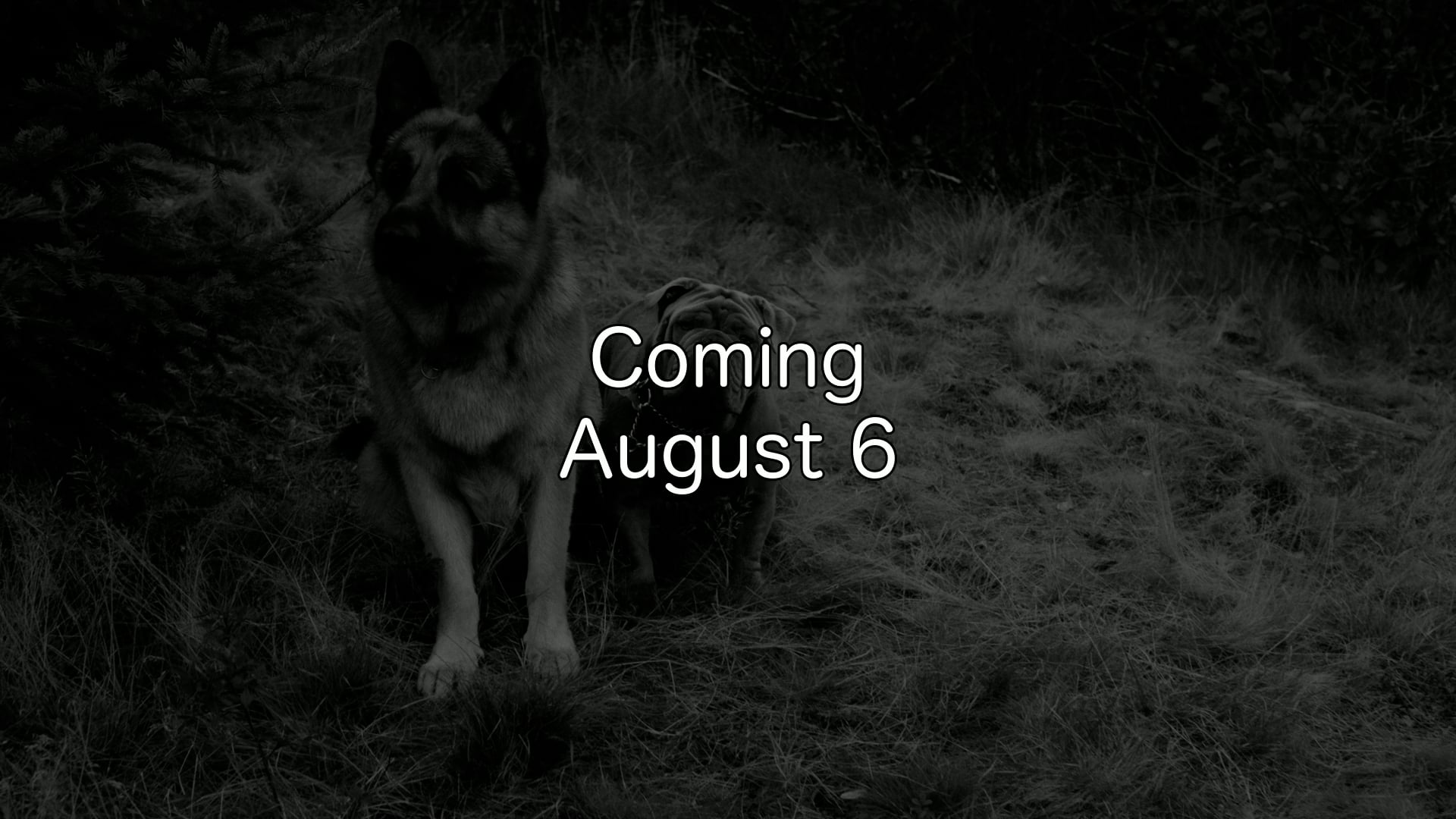 809 - Coming August 6