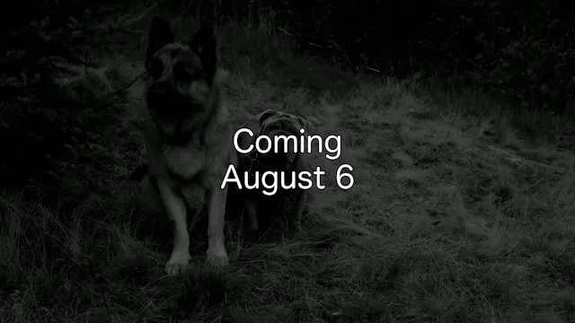 809 - Coming August 6