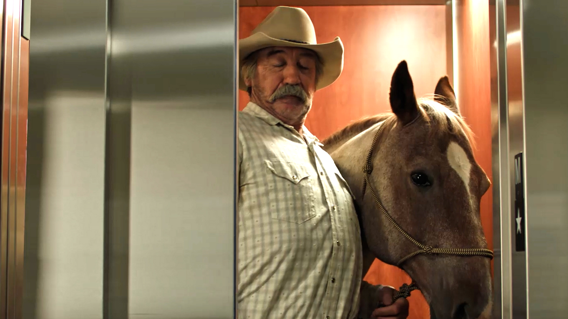 1908 - Lost and Found