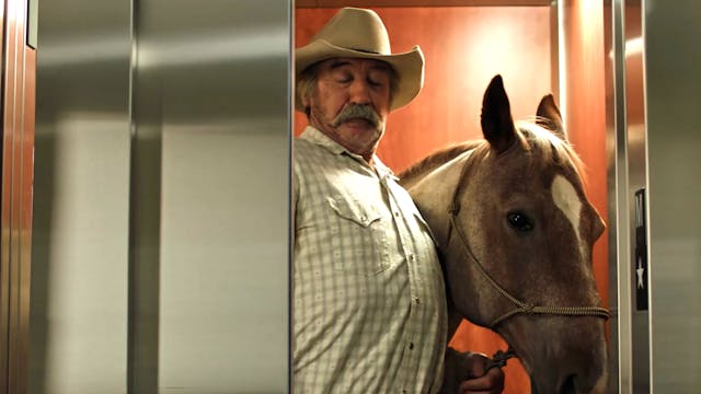 1908 - Lost and Found