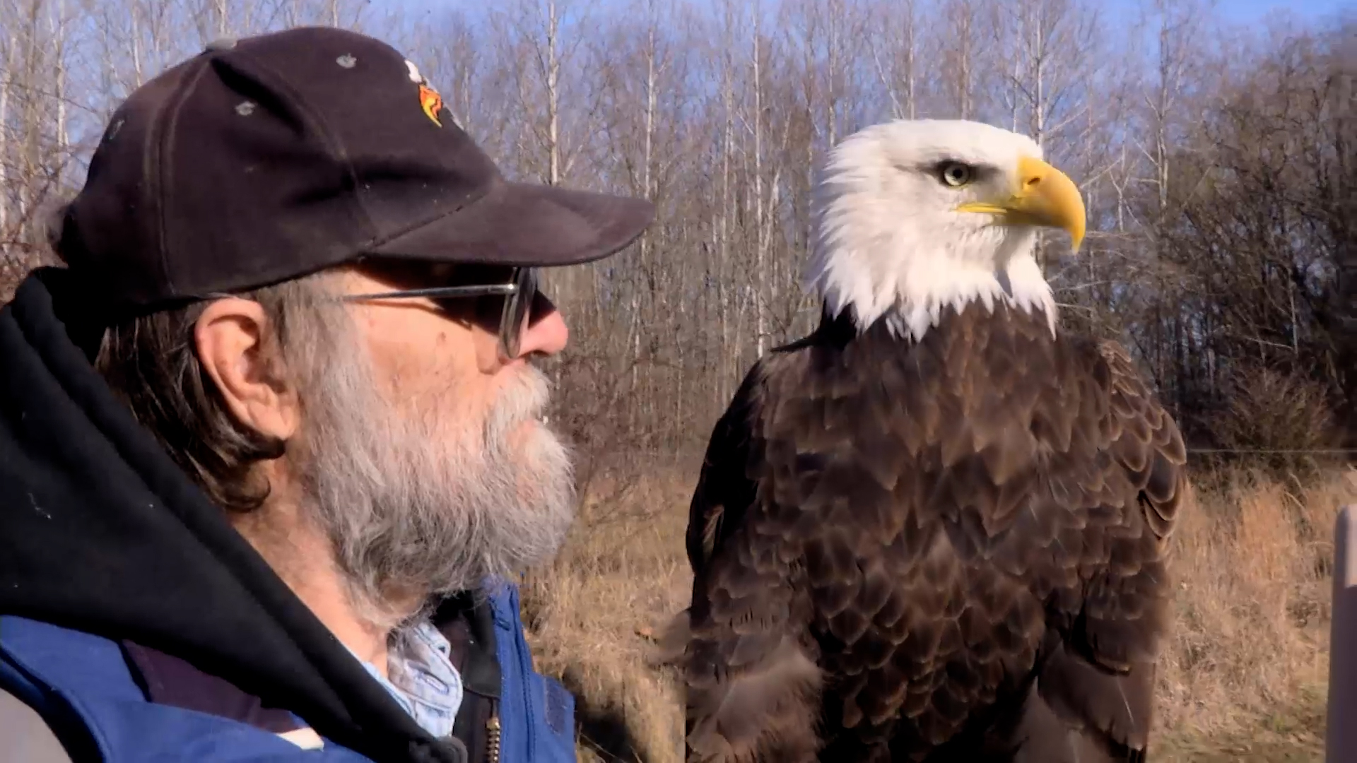 Small Town, Big Deal: 217