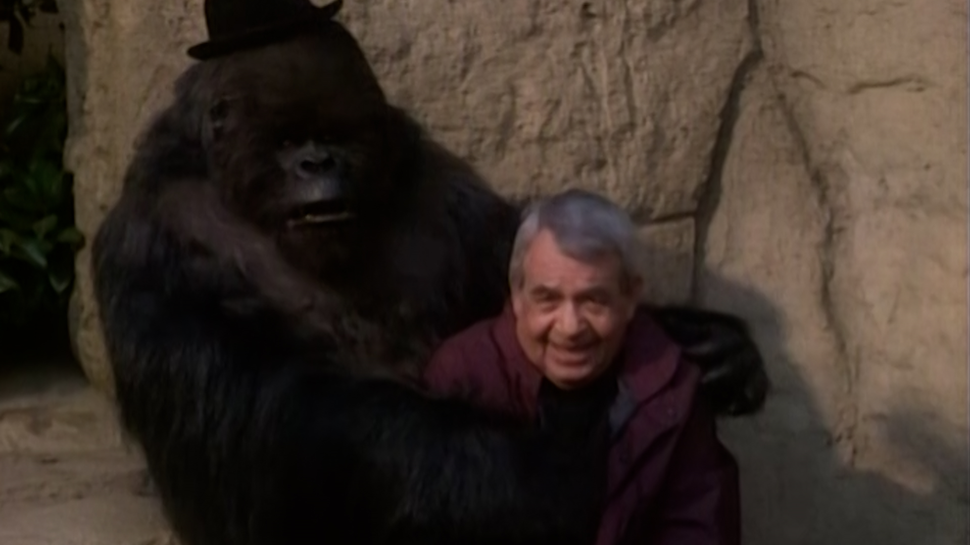 The Monkey Business Mystery