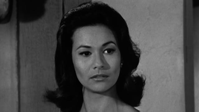 The Love Bug Bites Pepino