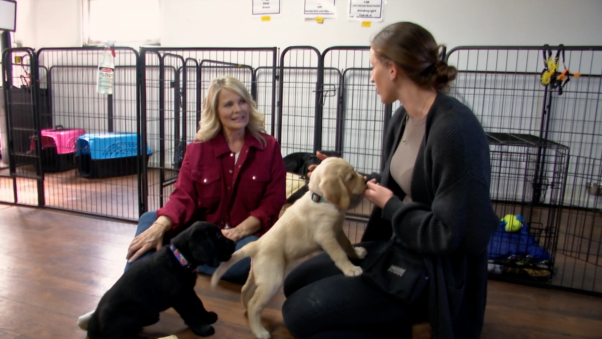 Small Town, Big Deal: 803