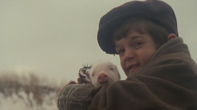 The Tale of Duncan McHugh