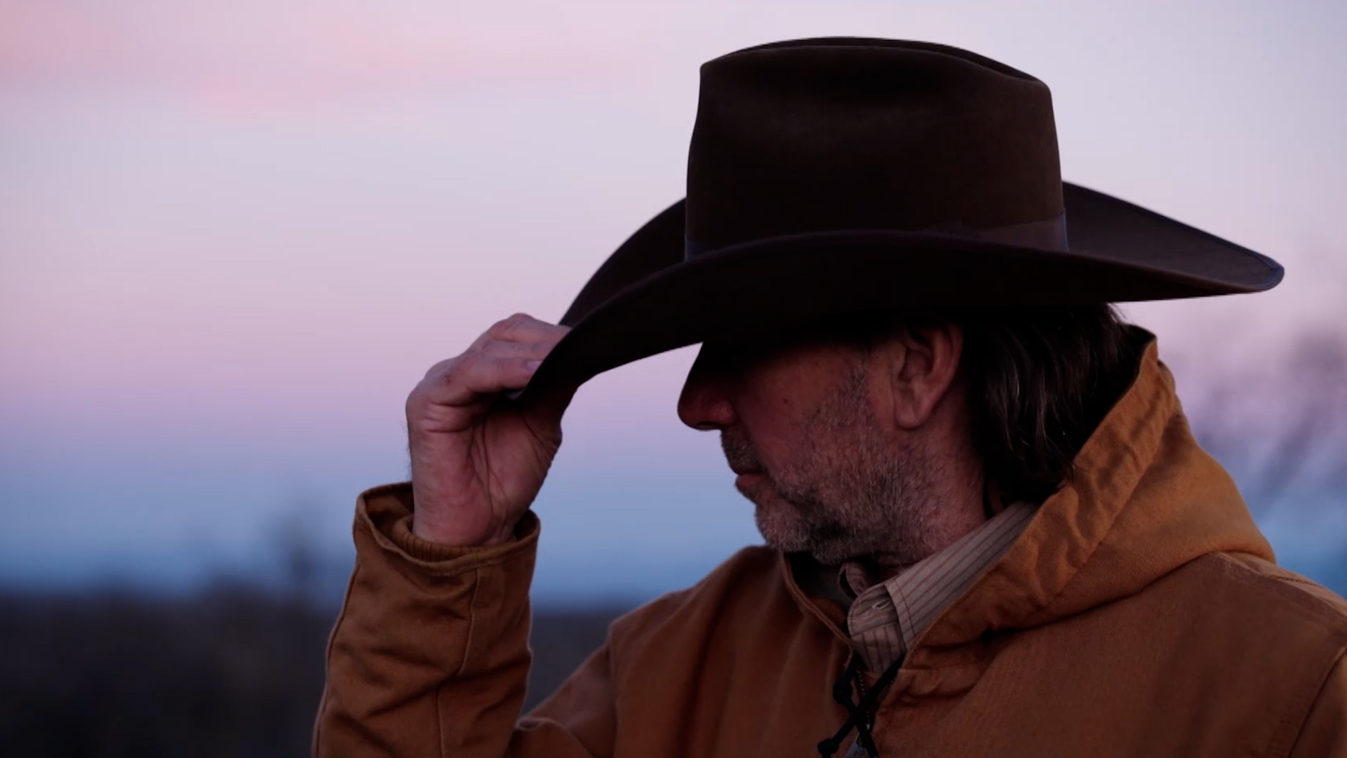 Red Bluff Bull and Gelding Sale