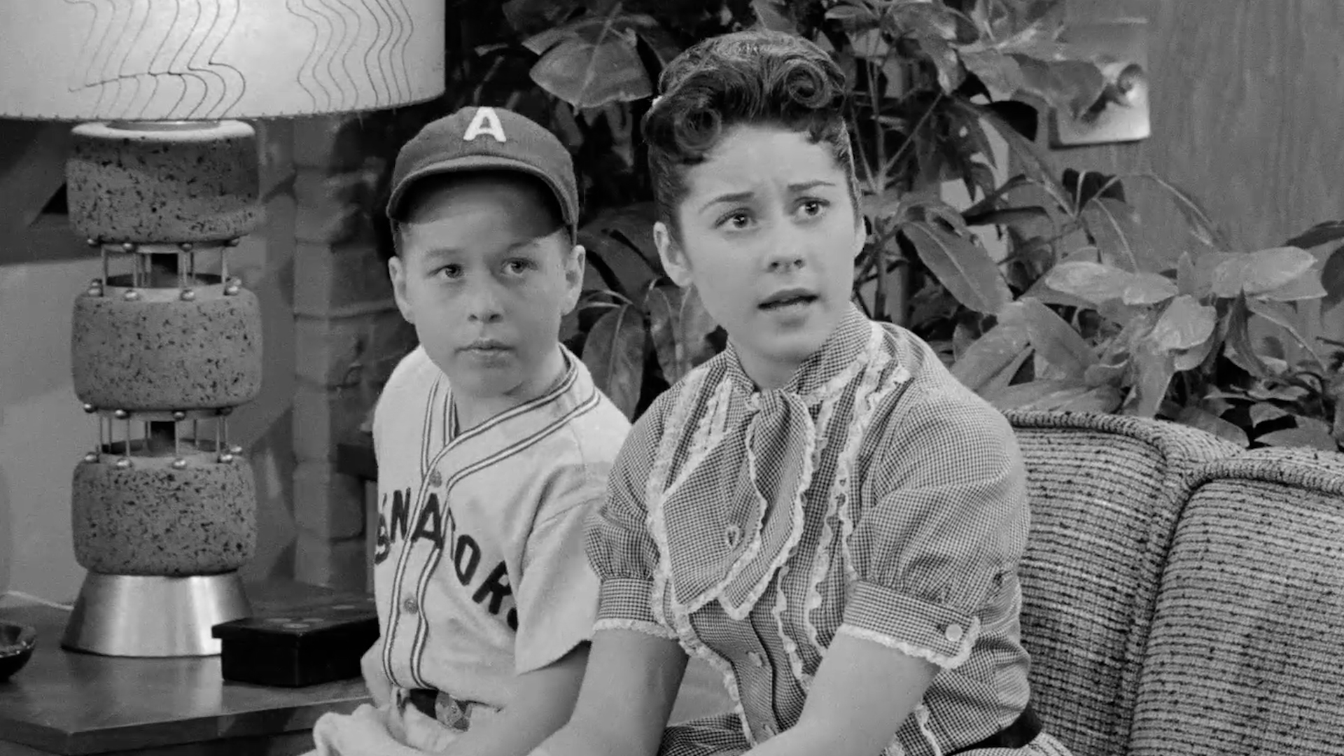 Little League Umpire