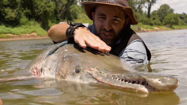 Gar Wars