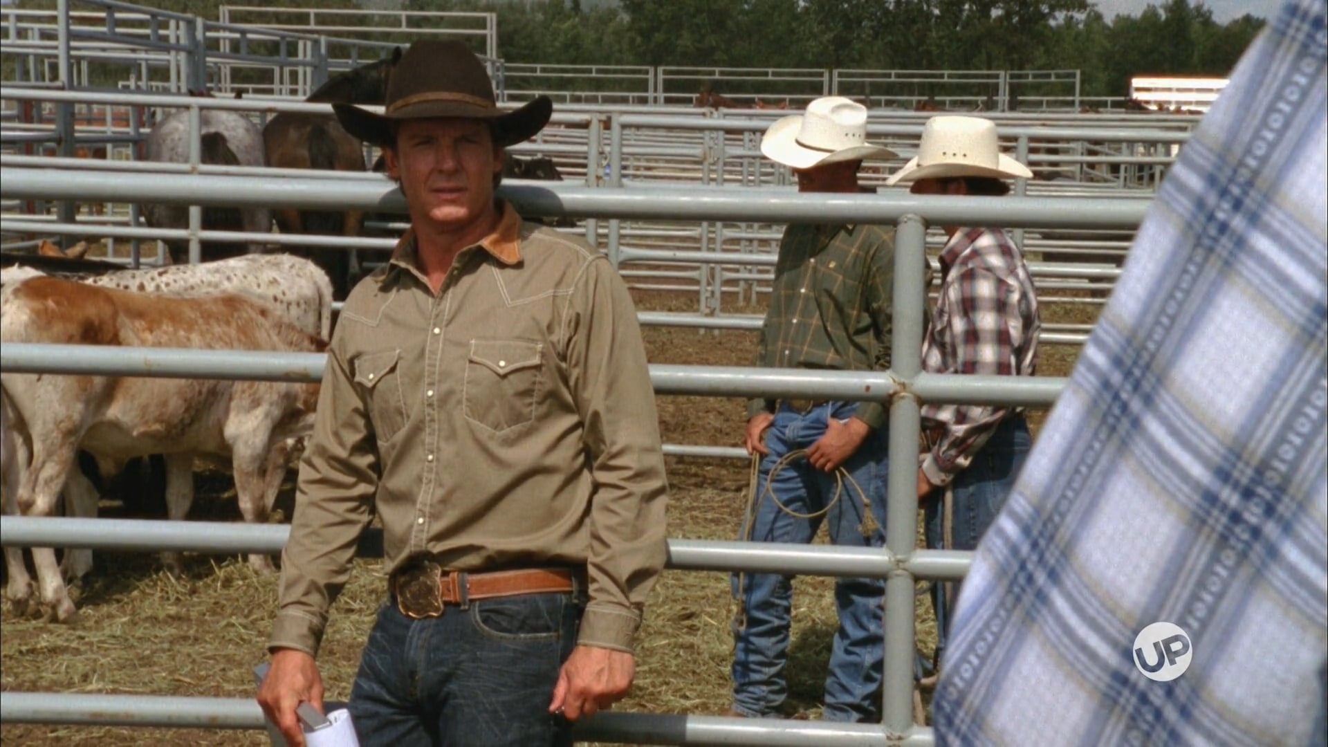 Sweetheart of the Rodeo