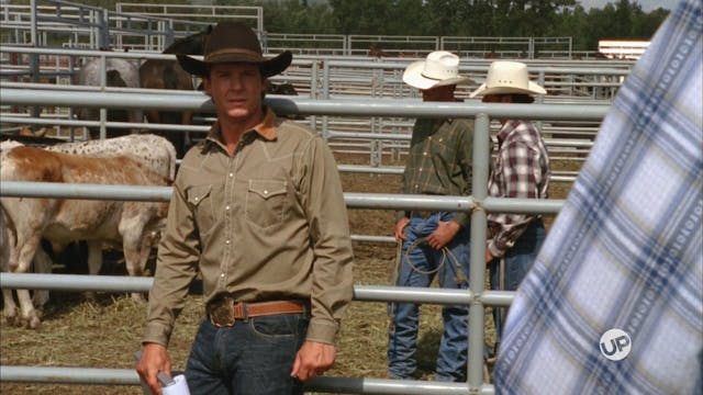 Sweetheart of the Rodeo