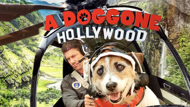 Coming Soon - A Doggone Hollywood (Ja...