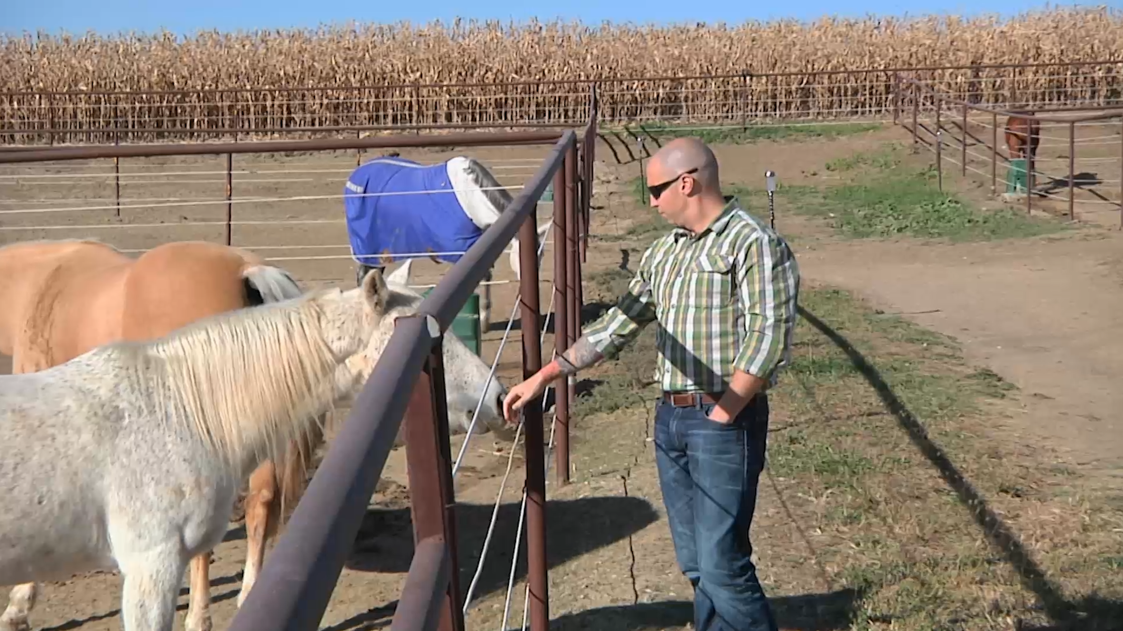 Small Town, Big Deal: 304