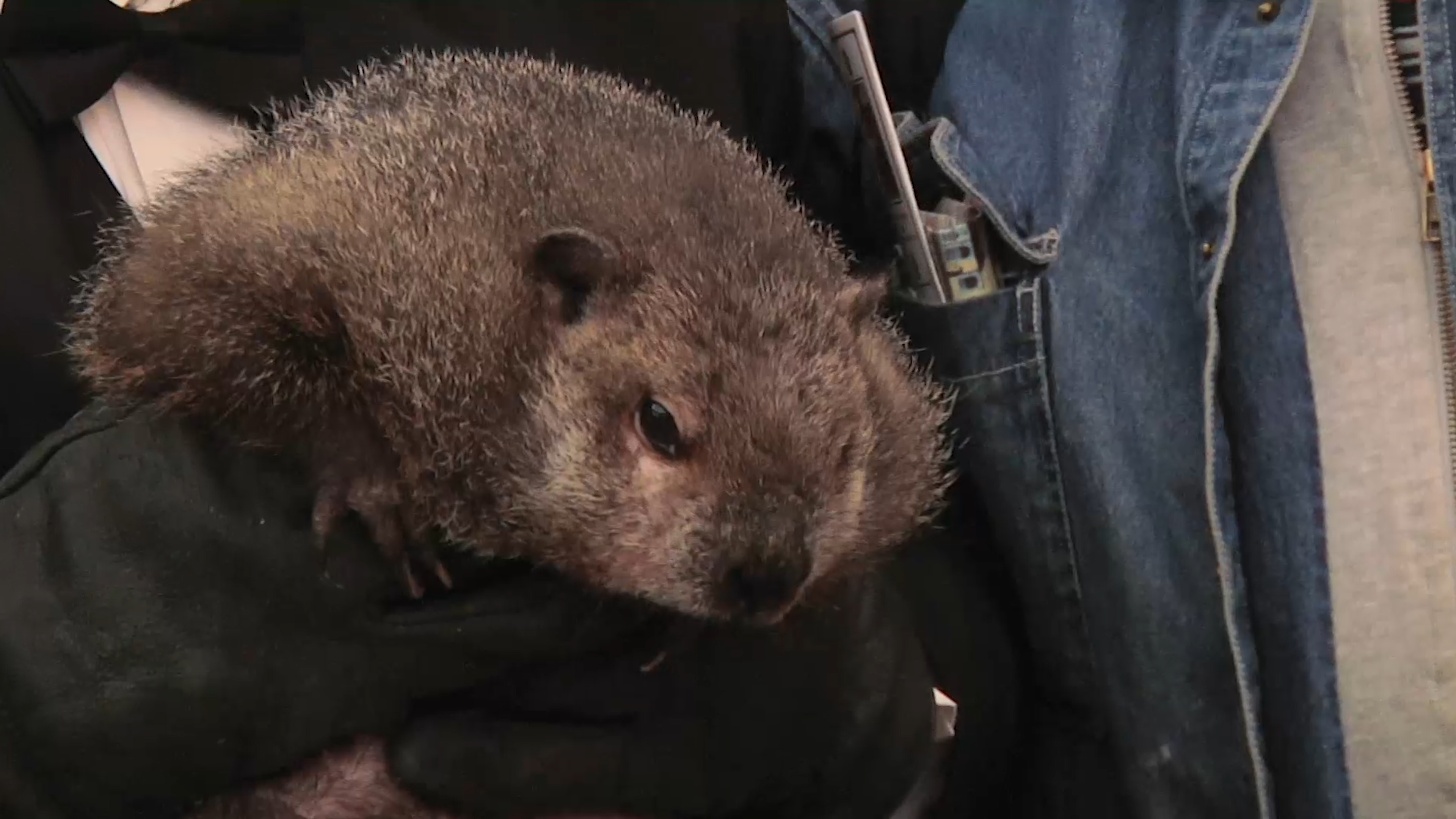 Small Town, Big Deal: 302