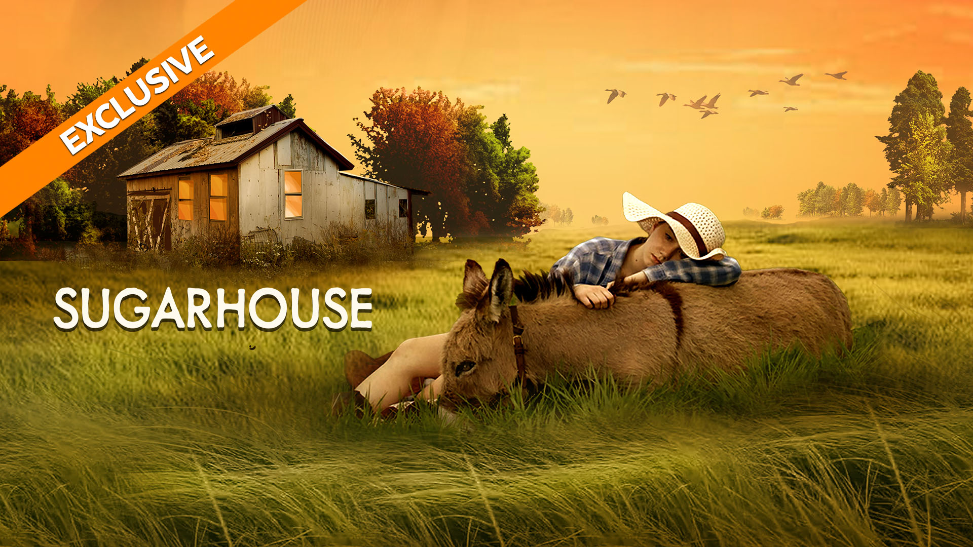 Coming Soon - Sugarhouse (3/20)