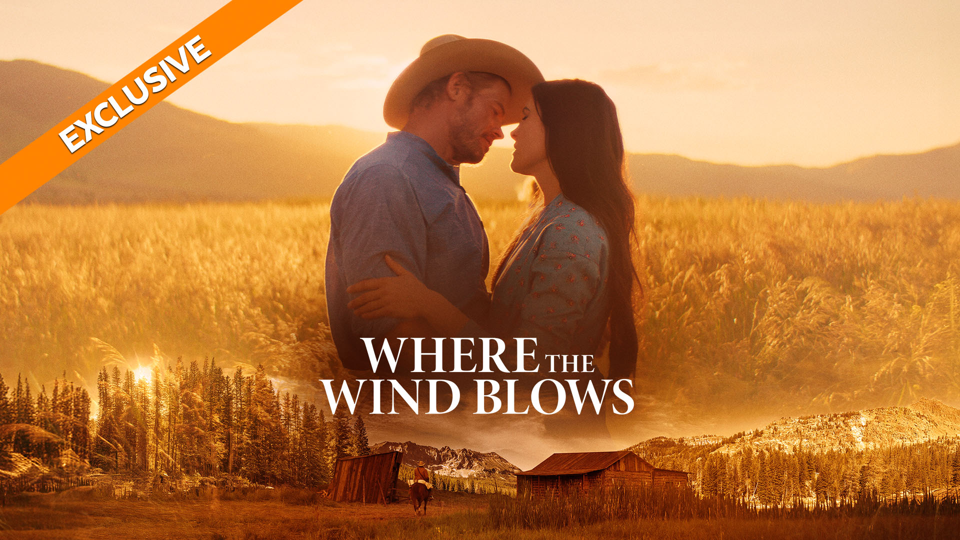 Coming Soon - Where the Wind Blows (2/13)