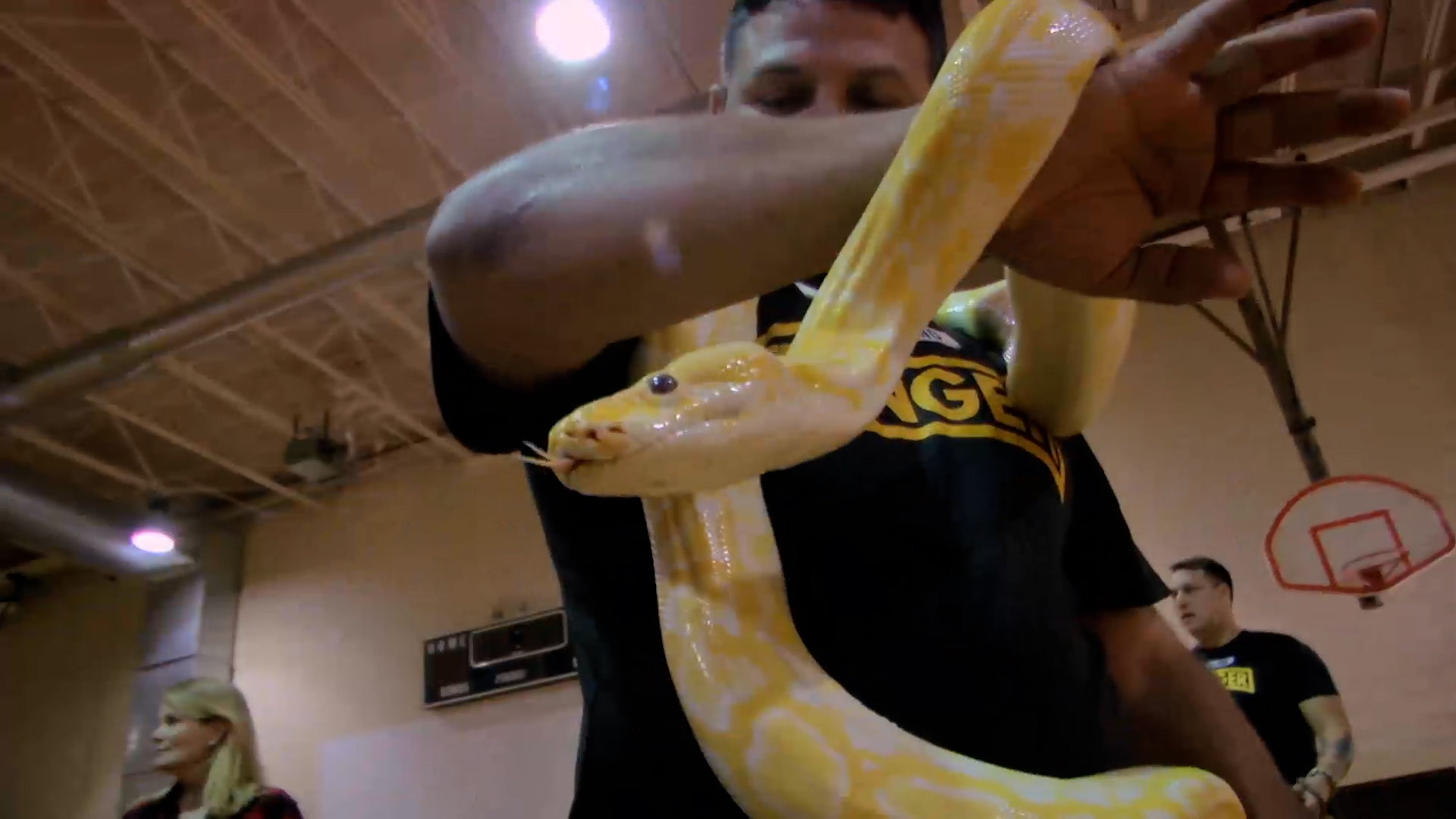 Small Town, Big Deal: 508