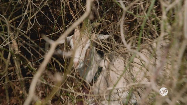 Point No. 44: Go Green