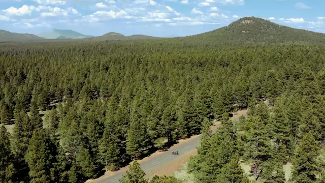 Where the River Leads